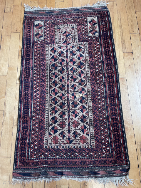 Antique camel ground tree of life Baluch prayer rug. Attractive high quality little example of the type. Good pile. Small hole as shown and priced accordingly. Looking to close out shop rug  ...