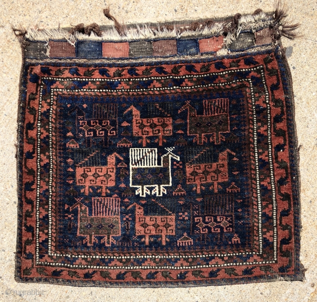 Antique complete Baluch bag with a flock of charming birds on a deep blue ground. Excellent near original condition with good thick pile and tight weave. All natural colors. Original back with  ...