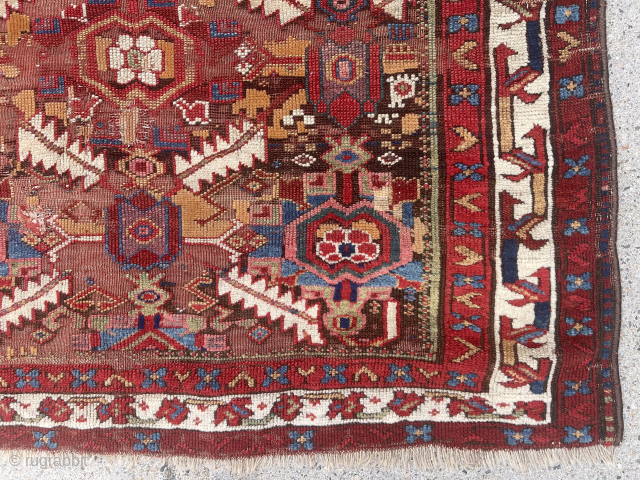 Early large Kurdish, “Sauj Bulagh” rug. Exceptional example of this design group. First rate saturated natural colors featuring lovely purples, greens, pinks, yellows and multiple reds. Original browns heavily oxidized and large  ...