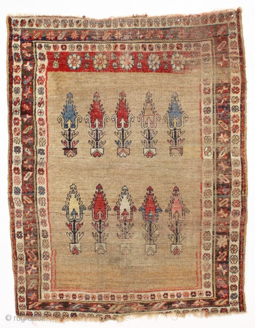 antique camel ground kurd bijar rug. Unusual and interesting design and nice squarish size. "as found", in much abused condition with wear and edge damage as shown. few knots of old crude  ...