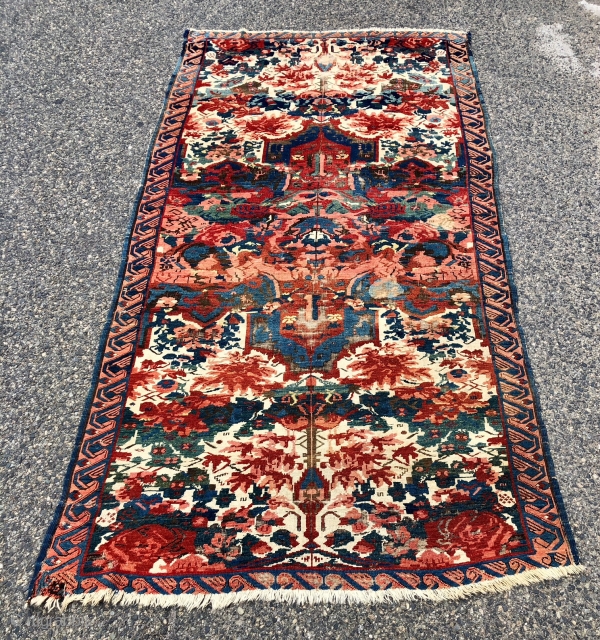 Antique Caucasian seichour rug. The usual wild and crazy field but in an unusually large size. Good weave with blanket like handle. Overall even low pile with heavy brown oxidation and scattered  ...