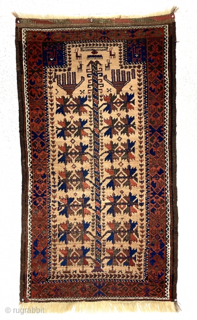 Antique camel ground Baluch prayer rug. You have seen the rest now check out the best. Seriously, overall terrific drawing and good condition with a little as expected brown oxidation. First rate  ...