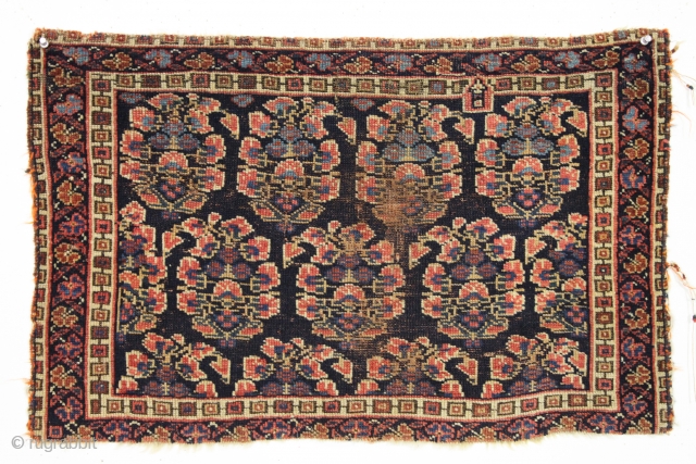 Antique afshar bagface. Older piece with an attractive unusual border. All natural colors. Thin and floppy. Some wear and edge damage as shown. ca. 1880 or earlier. 17" x 28"   