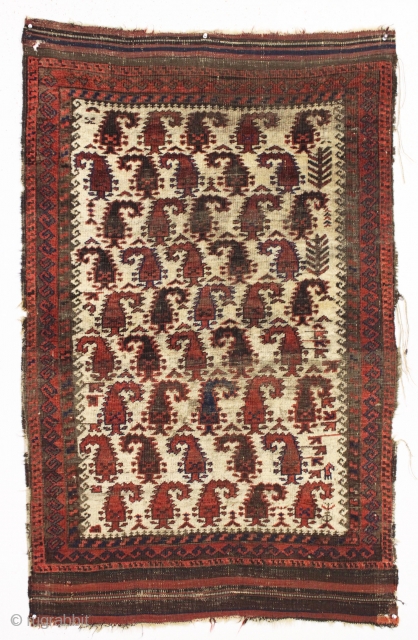 antique small ivory ground baluch rug. Nicely drawn example of a rare design. "as found", with wear and edge roughness as shown. Priced accordingly. Good age, ca. 1880 or earlier. 2'11" x  ...