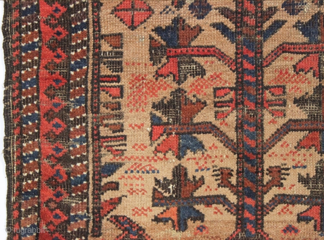 antique little camel ground baluch rug with tree elements and some unusual red dotting. I've never seen this before. Unfortunately this rug ran into a buzz saw and is nearly cut in  ...