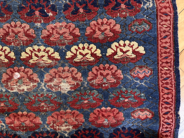 Out of the cedar chests. Early Caucasian kuba zeichour rug with classic carnation field. As good color as I have seen in this under appreciated type. Far from perfect condition. Mid 19th  ...