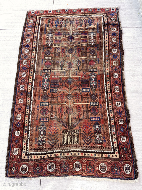 Out of the cedar chests (yes Baluchis in there). Uncommon potted tree design. Lovely natural colors including leaves light blues, deep reds and several nice natural browns. Turkish knotted. Attractive cloth like  ...