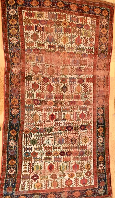 A superb and exquisite collectible carpet in the true and unique tradition of finest Persian  Qashqaii artistry with the character and colors of the early part of the century and of  ...