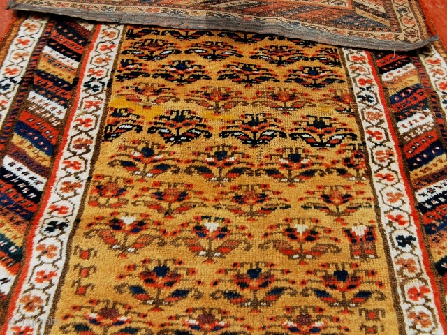 Lush Camel Field Kurd Rug with thick pile. Priced to Sell at US$ 450 plus shipping. Reinforced ends. Soft floppy handle. Click to see more photos and details: https://wovensouls.com/collections/use_throws?ls=en
    