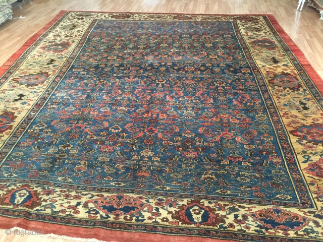 10-8x12-8 Bakhshayesh/ SultanAbad very good condition gorgeous border very good dining room rug.                    