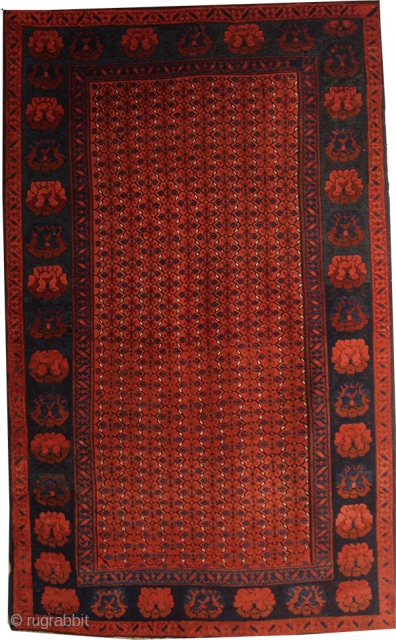 Antique Caucasian Carpet . Wool on wool . 177x110 CM. 1890S years old.                    