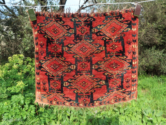 Old and beautiful Beshir Khorjin of a rare type (55 cm x 45 cm)
Pictures taken outdoor in direct and indirect sunlight.
Colors difficult to catch, especially the green.
Few repairs and sides roughly stopped ...