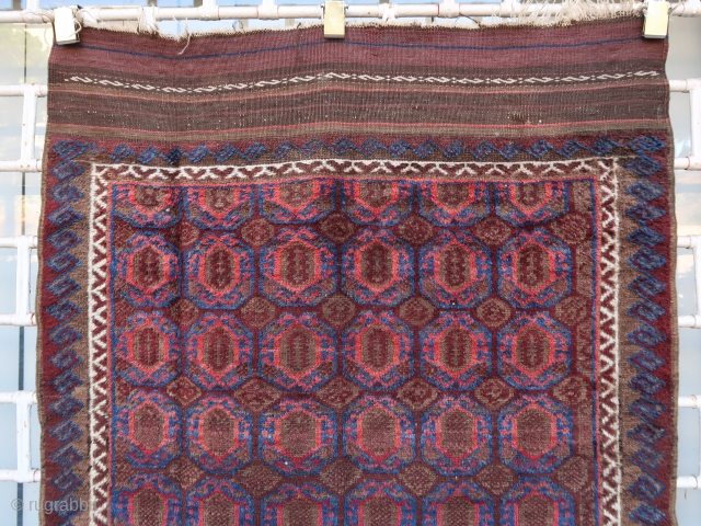 Old and rare baluch rug (179 cm x 104 cm.)
Complete and clean, with its big skirts (20cm and 18 cm to add the above dimensions) and original selvedges.
Very nice coral "turtles" all  ...