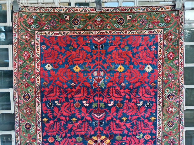 Lovely and rare, antique Jozan rug (150 cm. x 100 cm.)
Early 20th c. rug, finely knotted and in good "as found" condition.
Uneven wear, very slight and localised red color run, not disturbing  ...