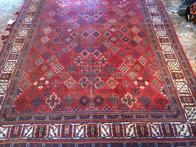 Antique Josheghan Persian Rug

Over 50-60 year old persian rug. 
Handknotted, vegetable dyes.

Size- 8'x11'                    