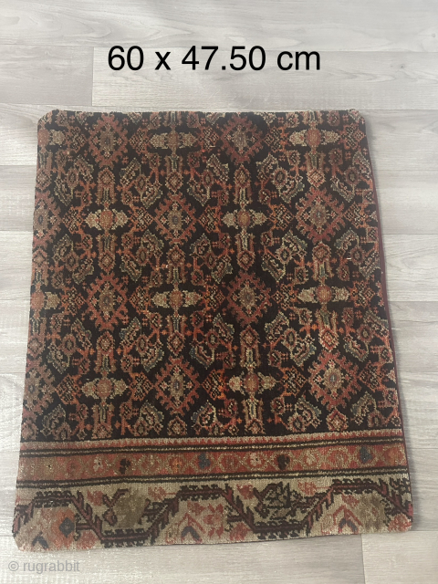 A beautiful carpet cousin                             