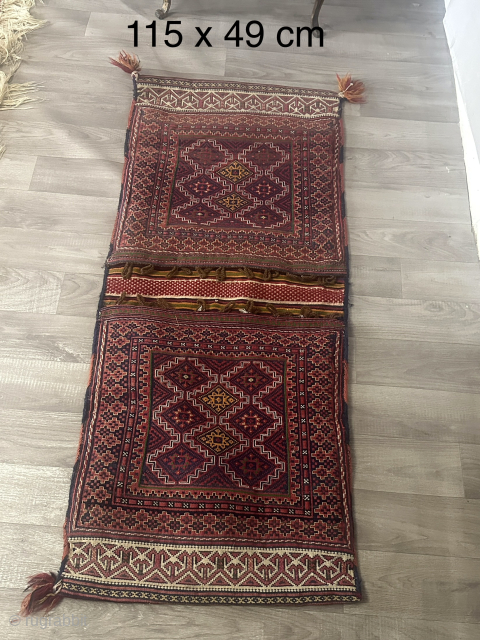 a beautiful donkey beg                             