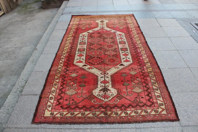 Beshir Carpet, synthetic colors
141 x 258 cm
                          