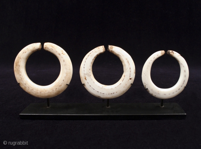 Conus shell earrings.
Western Gulf area, Papua New Guinea.
2.75", 2.5", 2.25" (7, 6, 5.5 cm) diameter.
Early 20th century.
Published in Red Eye of the Sun by Michael Hamson (2010), pg. 184.    