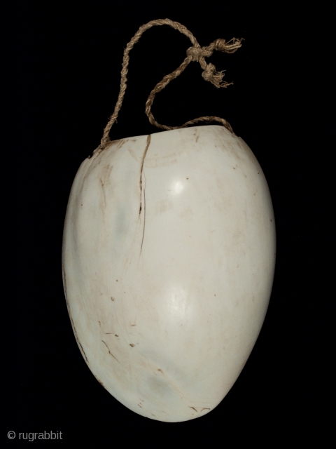 Bailer shell pectoral,
Mendi people, Papua New Guinea.
Melo amphora shell, sennit.
8.5" (21.6 cm) high.
Late 19th/early 20th century
Ex Douglas Dawson Gallery              