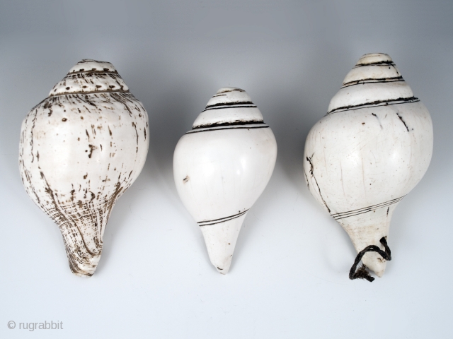 Conch shell trumpets, Himalayas. 19th century.
Sold separately.

Left: 7" (17.2 cm) long    
Center: 6" (15.2 cm) long    
Right: 7.5" (19 cm) long    
  