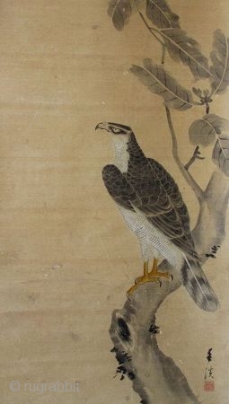 Japanese Antique Scroll Painting of a Hawk, signed Shunkei
Antique Japanese scroll painting of a hawk standing on the branch of an oak tree. The hawk is detailed with great attention to every  ...