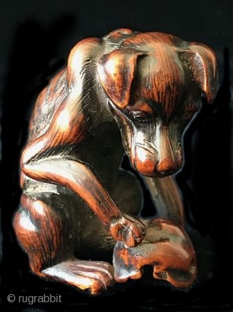 Exceptional Boxwood 18th C. Japanese Yama Inu (Dog) Netsuke


An exceptional antique Japanese bowwood carved netsuke - the Yama Inu - a dog resting his paw on his masters scull. Protecting him in  ...