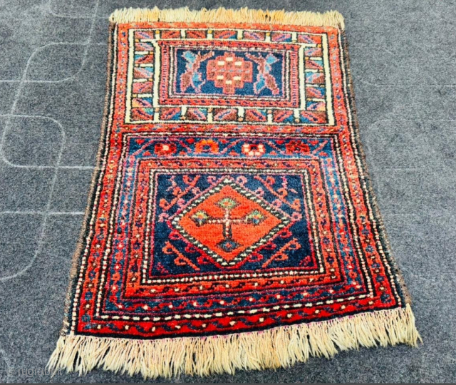 Chanteh, Luri or maybe Baluch?