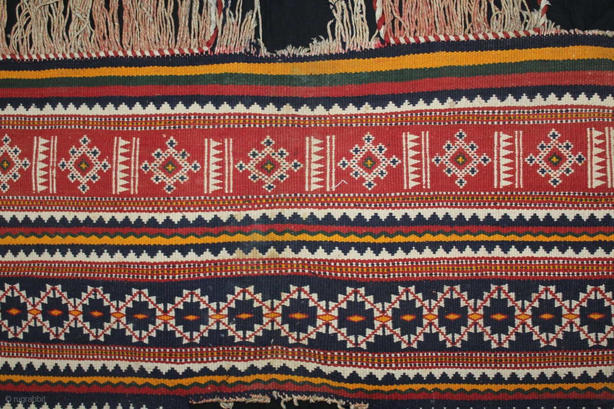 Camel Decoration Flatwoven Textile from Thar Desert Region near ...
