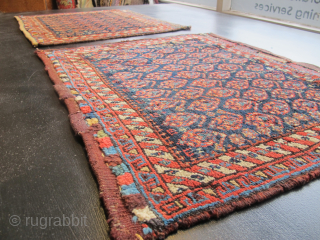 A Pair of beautiful Antique Luri Bagfaces. Available on aaronnejad.com. Please request additional images. HAPPY NEW YEAR!                