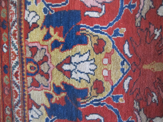 Superb Sultanabad carpet, circa 1900. Wonderful design and colours. Excellent condition. The dimensions are 3.70m x 3.30m. Available.