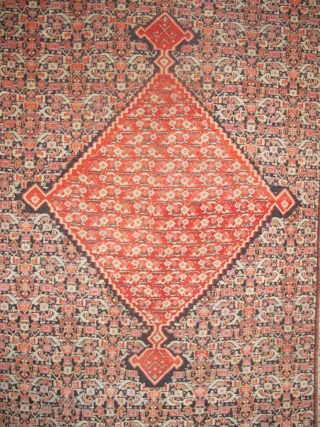 Here is a fine Senneh Rug, 2.00m x 1.28m (6'7" x 4'2"). Velvety even pile, beautiful dyes, and an absolutely mesmerising medallion. Available.          