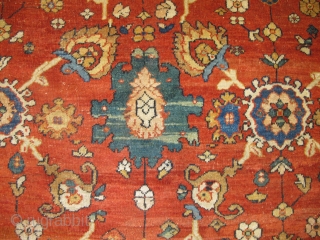 Antique Ziegler Carpet, 3.86m x 2.62m (12'6" x 8'6").                        