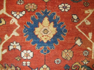 Antique Ziegler Carpet, 3.86m x 2.62m (12'6" x 8'6").                        