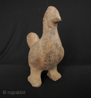 Han Dynasty Pottery Chicken: Large Western Han Dynasty, circa 206 BCE – 220 CE, terra cotta chicken from Sichuan Province. There is some damage on the end of one foot but no  ...