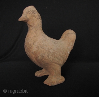 Han Dynasty Pottery Chicken: Large Western Han Dynasty, circa 206 BCE – 220 CE, terra cotta chicken from Sichuan Province. There is some damage on the end of one foot but no  ...