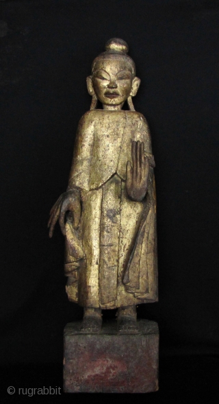 Very rare standing wood folk image of the Buddha statue from the Tai Lue ethnic group in the Golden Triangle region. This Buddha is classically robed in the Mandalay style with a  ...