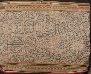 Iban woman’s skirt (kain) from Sarawak,  depicting the tree of life with bamboo running the length of bidang. There is some fraying on the selvedge noted in enlargement 9#, it is  ...