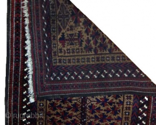 Boluch Rug Size: 140 x 85 cm                          