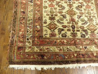 Type: BAKTIARI 
Origin: CENTRAL PERSIA 
Early 20 century. 
Size/Feet & Inches: 5'1'' x 6'1'' 
Size/Meters: 1.54 x 1.85 
Excelent condotion.             