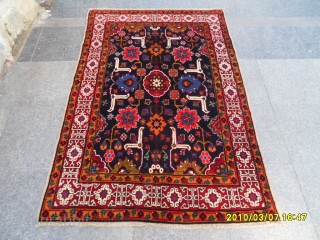 Shirvan Caracasli Carpet
size:171x116cm.                              