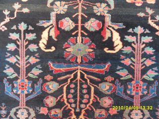 Bahtiyar Rug
Size: 225 x 143 cm.
Mail: makifhali@yahoo.com