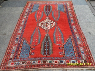 Antique Caucasian Shıhlı Rug
size: 220x155 cm.                           