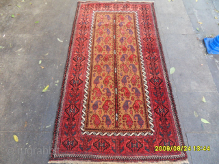 Old Baluch Rug
Size: 210 x 110 cm.
Mail: makifhali@yahoo.com                         