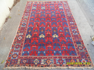 Antique Shirvan Rug
Size: 280 x 175 cm.
Mail: makifhali@yahoo.com                         