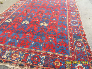Antique Shirvan Rug
Size: 280 x 175 cm.
Mail: makifhali@yahoo.com                         