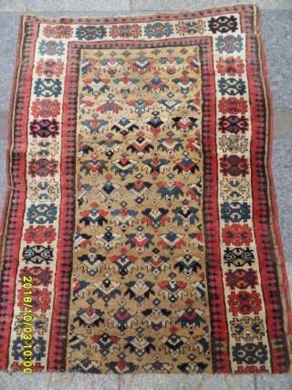 Antique Sahsavan Fragment Carpet size: 122x94 cm.                          
