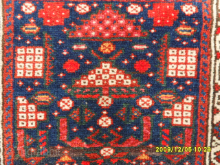 Kurdi Saddleebag
Size: 140 x 60 cm.
Mail: makifhali@yahoo.com                          