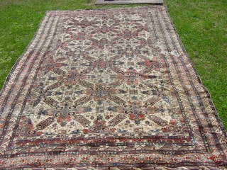 very huge  seichur carpet ( dagistan )  size 490x300                      