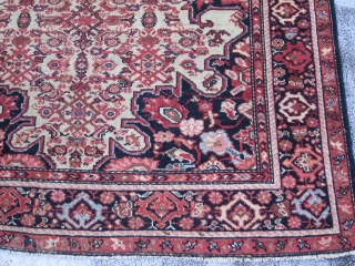 Antique Malayer Scatter Rug , 6.6 x 4.1

This is a very well made Malayer rug with an ivory cartouche shaped field closely covered by a detailed Herati pattern.Unusually there is no medallion.The  ...